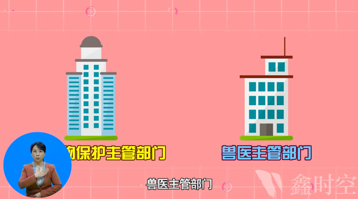 设计展览布局的技巧是什么？